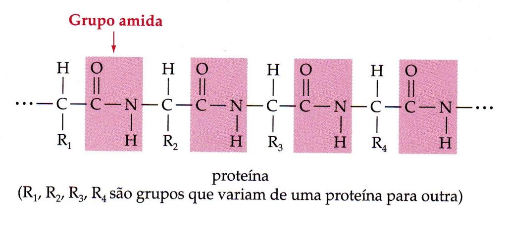 CLASSE FUNCIONAL AMIDA Exemplo: proteínas (polímeros