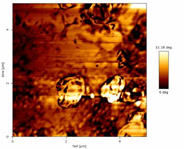 A Figura 4 apresenta imagens de contraste de fases obtidas por AFM do polímero puro e do nanocompósito (MT-4). (a) (b) Figura 4.