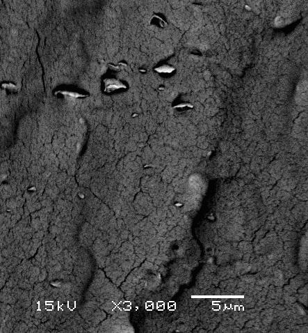 A Figura 5 apresenta as micrografias de MEV para o SBS e o nanocompósito MT-4 (a) (b) Figura 5 Micrografias de MEV : a) SBS, b) MT-4 Observa-se na