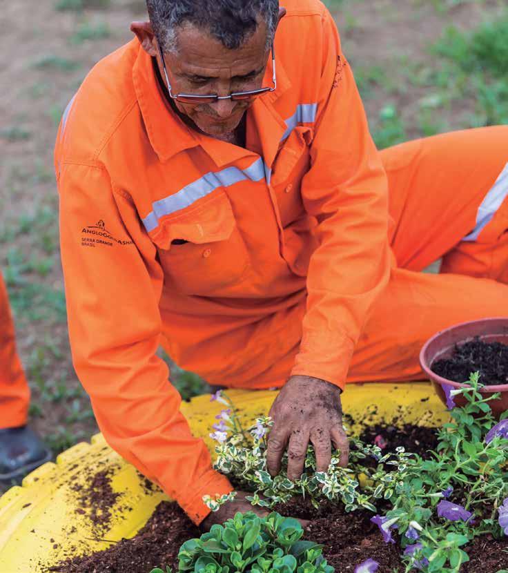 Voluntariado promove conscientização ambiental PROGRAMA DE DESENVOLVIMENTO DE FORNECEDORES (PDF) Promover o desenvolvimento de municípios do Norte de Goiás.