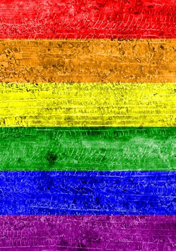A SNJ firmou uma parceria com a Universidade Federal do Rio de Janeiro para traçar o Diagnóstico da Juventude LGBT e, pela primeira vez, o Governo terá um mapeamento