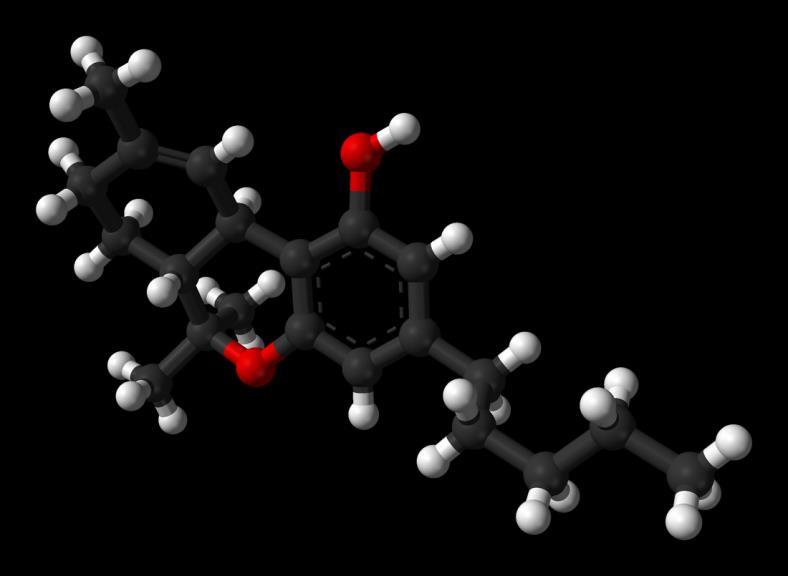 Em 1964 foi isolado, identificado e sintetizado o Δ 9 -THC (delta-9-tetrahidrocanabinol), principal constituinte psicotrópico da maconha.