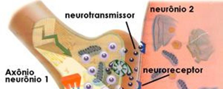 Como se pode perceber, na depressão, o número de neurotransmissores disponíveis na fenda