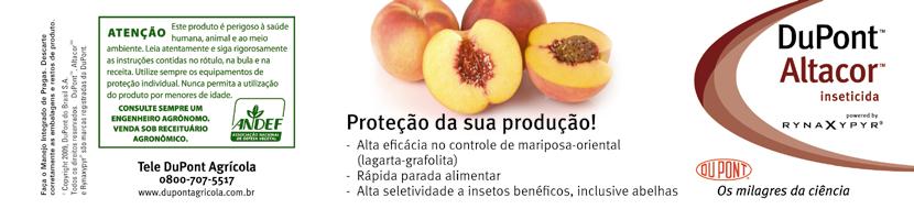 Indicadores de Preços - Uva Caderno de Estatísticas - HORTIFRUTI BRASIL 11 Uva - preços coletados pelo Cepea - a Preços médios recebidos por produtores e atacadistas (R$/kg) Variedade Região itália