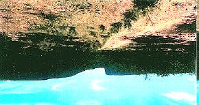 a) Ao fundo, caatinga arbustiva densa, em primeiro plano caatinga devastada Passagem-PB. b) Caatinga substituída por uma capoeira. Antiga área de algodão Santa Terezinha - PB.