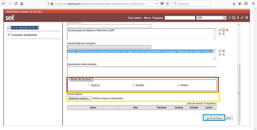 2.10 Preencher o Nível de Acesso (Público), Anexar o Arquivo que