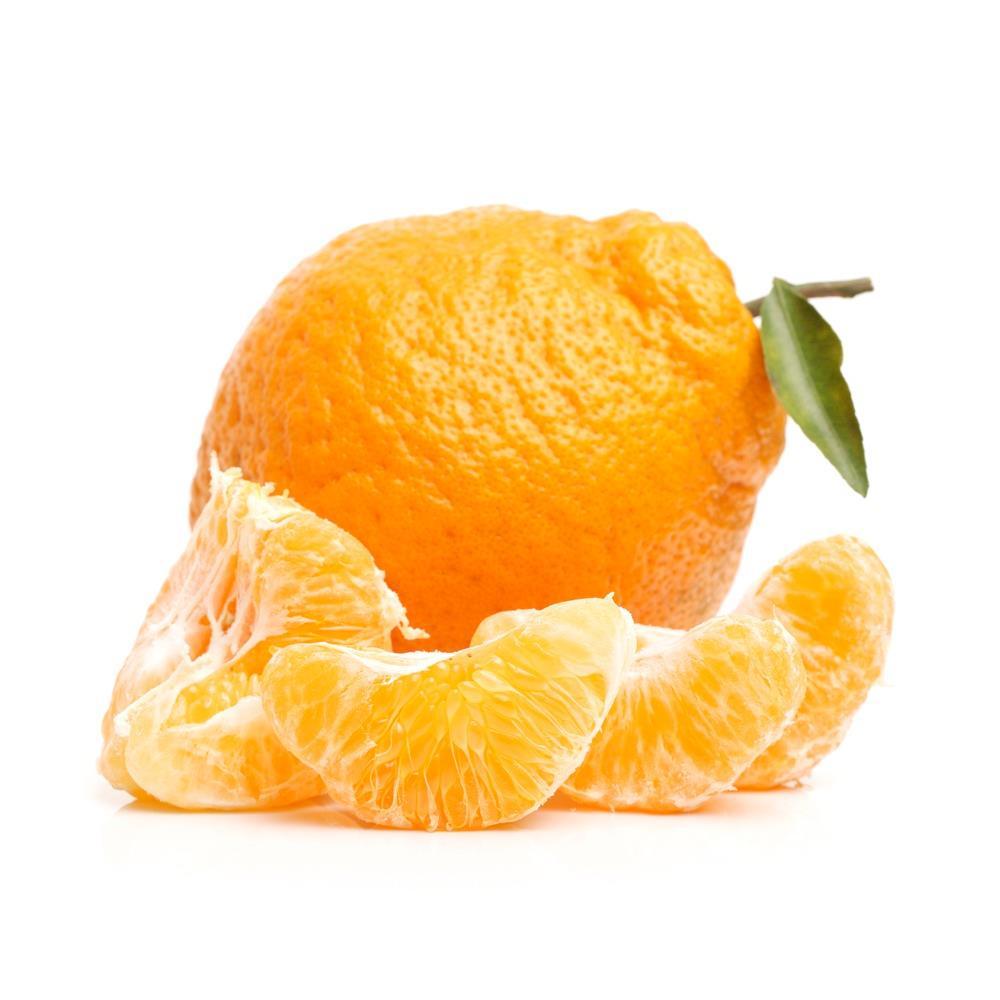 mexerica, laranja-mimosa, mandarina, fuxiqueira, poncã, manjerica, laranja-cravo, mimosa, bergamota, clementina, mexerica, laranja-mimosa, mandarina, fuxiqueira, poncã, manjerica, laranja-cravo,