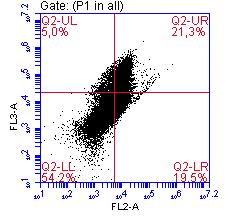 Número de colônias de células U251 (%) formadas. Análise estatística ANOVA: teste t (*** p<0,001).