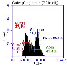 Figuras 5 e 6. Porcentagem de células U251 em diferentes estágios.