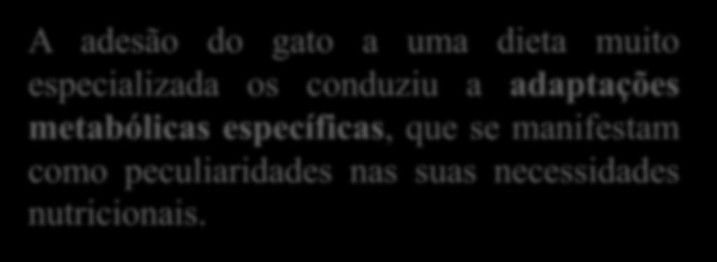 Qual a origem das particularidades?