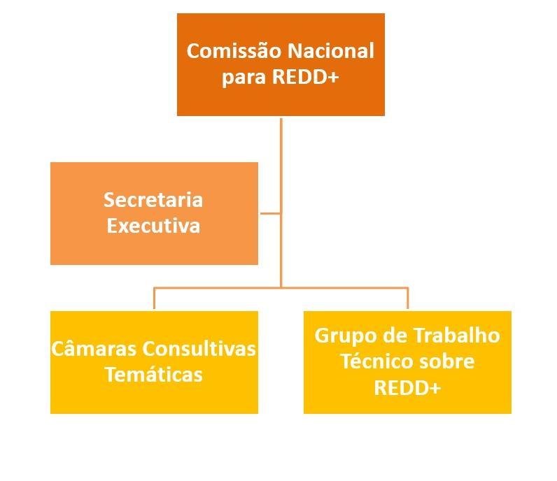 Grupo de Trabalho Técnico sobre REDD+ GTT REDD+ é constituído por 9 instituições federais, engajando especialista
