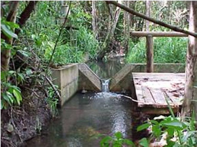 e diversidade). Monitoramento da Água Água Superficial e Subterrânea qualidade da água x atividades silviculturais.