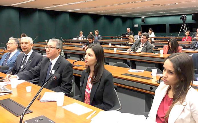 O evento ocorreu no plenário II do Anexo II da Câmara dos Deputados, através de iniciativa da Comissão de Integração Nacional, Desenvolvimento Regional e da Amazônia (Cindra), que é presidida pelo