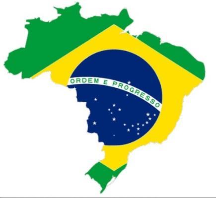 Serviço Voluntário no Brasil e no mundo M U N D O Causas humanitárias;