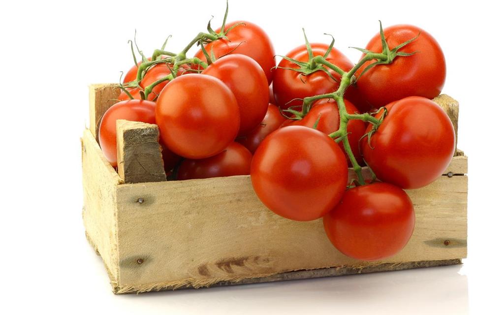dirigida: exemplos no BR Tomate (em