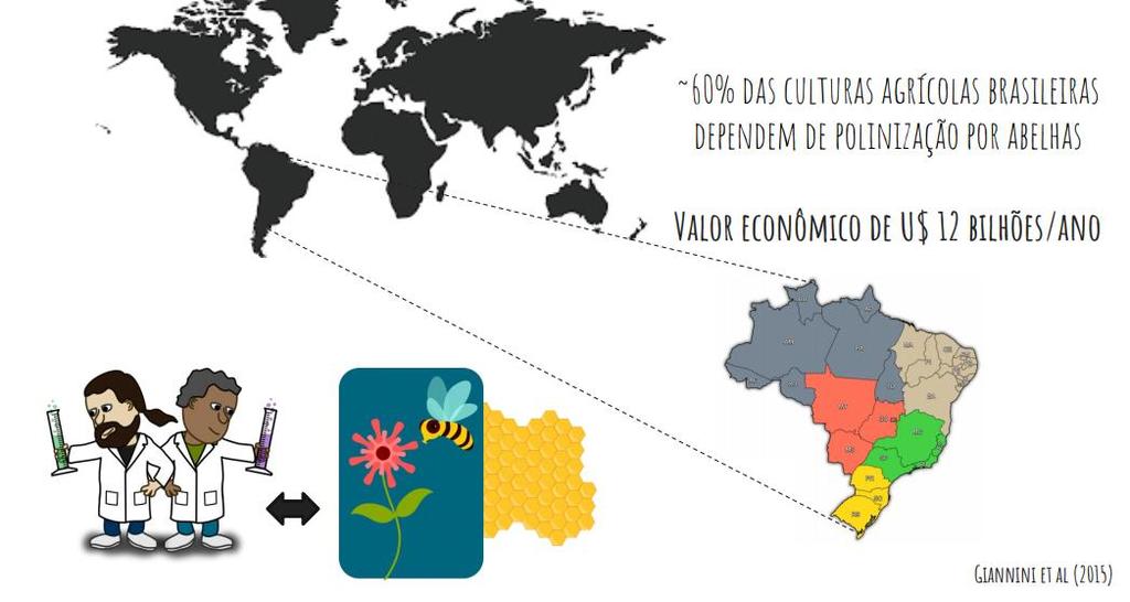 Polinização agrícola no Brasil Dependência de