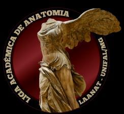 LIGA ACADÊMICA DE ANATOMIA - LAANAT UNIVERSIDADE FEDERAL DE ALFENAS - MG Departamento de Anatomia - ICB PROCESSO SELETIVO PARA PARTICIPAÇÃO NA LIGA ACADÊMICA DE ANATOMIA - UNIFAL-MG 001/2018.2 1.