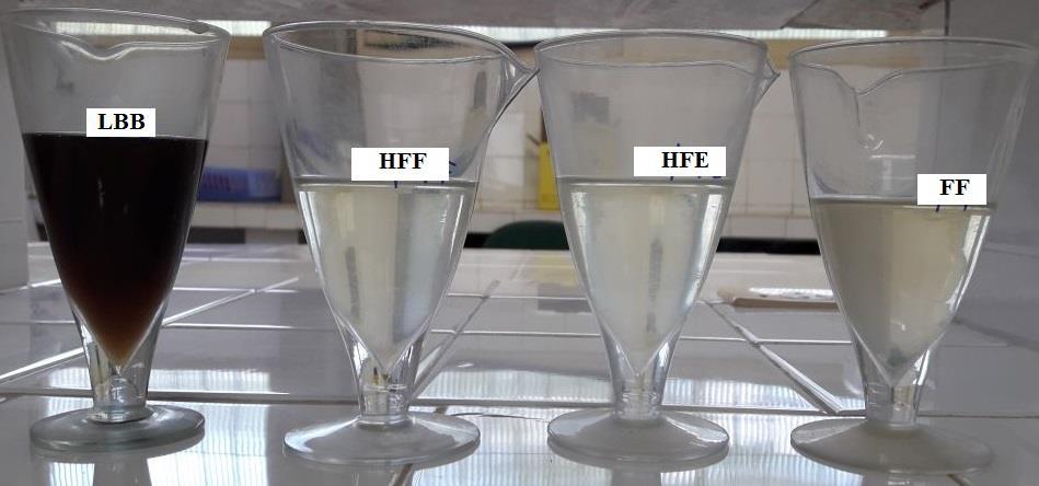 69 Figura 12 Amostra bruta (lixiviado inicial ao processo) e as amostras pós-tratadas pelas rotas HFF, HFE e FF Fonte: A autora (2018). 5.4.