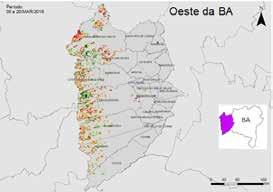 O excesso de cobertura de nuvens dificultou a obtenção de dados em vários períodos da safra atual, conforme mostram os segmentos tracejados da linha vermelha.