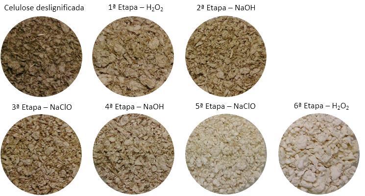101 Tabela 67 - Comparação entre as características das celuloses branqueadas pelas etapas de hipocloração e peróxido. Etapa Nº kappa Alvura (% ISO) Viscosidade (cp.