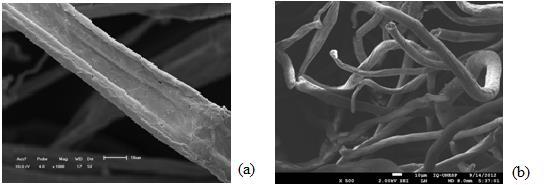 119 Comparadas as micrografias da metilcelulose obtida nesse trabalho com às obtidas por VIEIRA (2012), mostradas na Figura 67, observa-se uma grande similaridade em ambas, principalmente quanto às