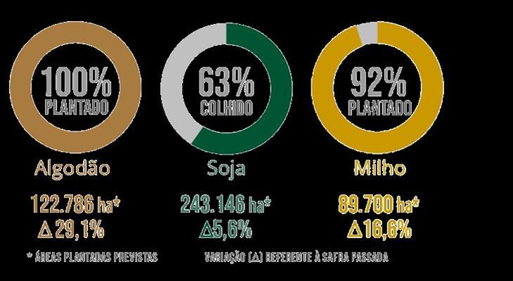 4 OUTLOOK 2018/19 CROP HARVESTING/PLANTING STATUS 38 Planted Harvested Planted