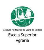 2 nd COST Action FA1204 ANNUAL CONFERENCE INNOVATION IN VEGETABLE GRAFTING FOR SUSTAINABILITY 20-22 October 2014 CARCAVELOS,