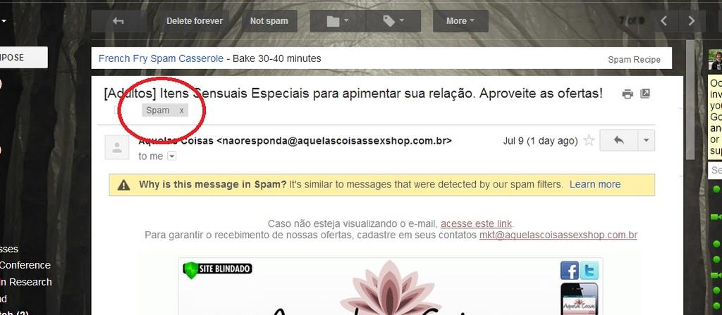 Exemplo: Detecção de Spams X i email Y i {spam,