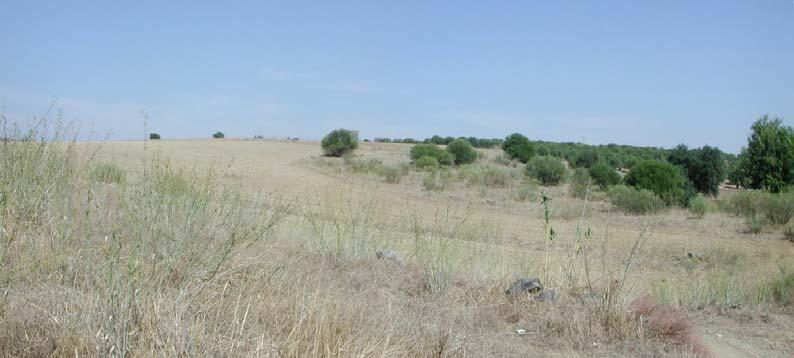 Estudo de Impacte Ambiental da Rede