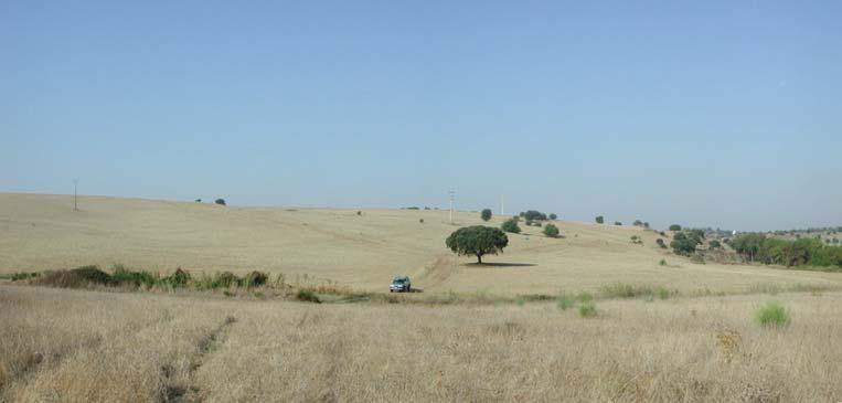 Impacte Ambiental da Rede Primária