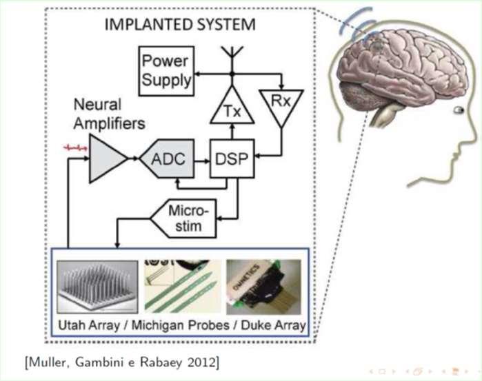 Brain Coputer Interfaces área do trabalho do doutorando