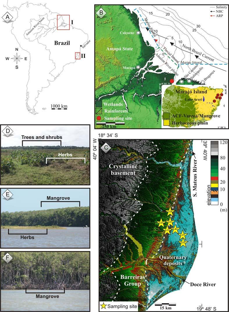 Figure 1 A) South America with studies areas at the Brazilian littoral.