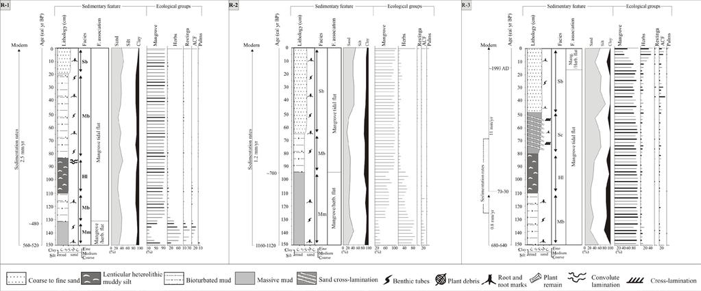 Figure 2 Sediment profile with sedimentary features