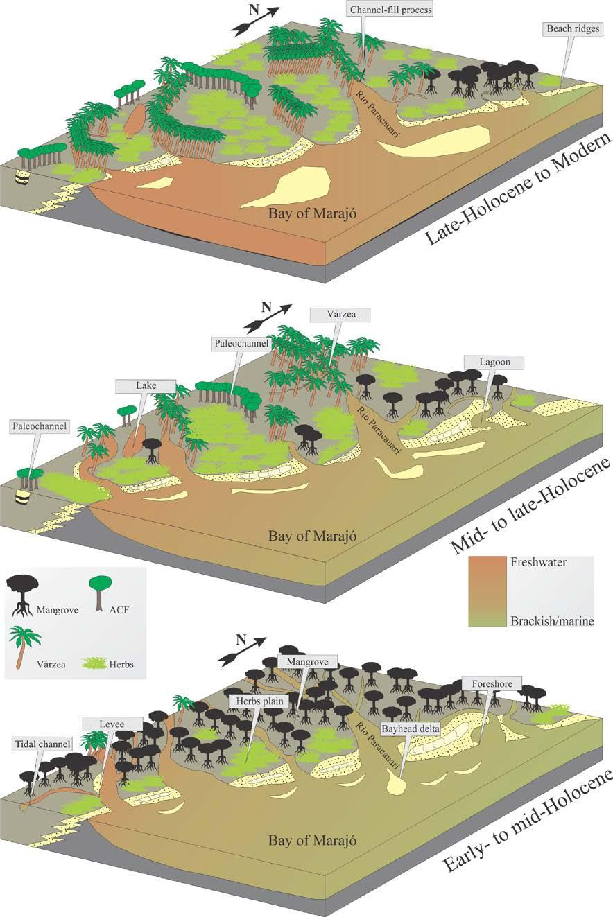 Figure 8 Schematic representation of successive phases of sediment accumulation and