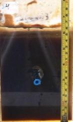 A Figura 23 apresenta as fotos dos jarros para as condições de maior eficiência dos experimentos de pós tratamento por CFS do LIX B com cloreto férrico e adição do PC 1, durante a sedimentação.