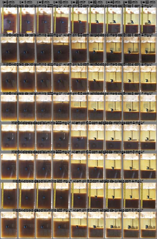 150 Figura 46 Fotos dos jarros para a condição de maior eficiência dos experimentos de pós tratamento por CFS do LIX B