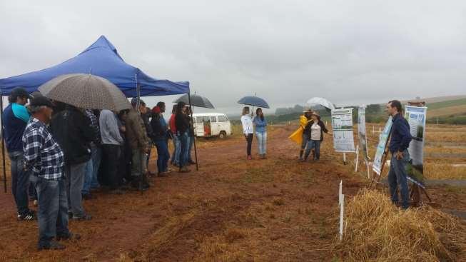 Dia de campo da Fepagro/UFSM na Área