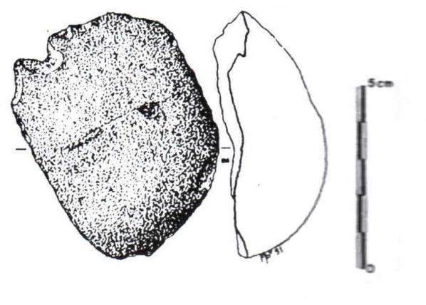 17 Figura 2 - Lasca de quartzo com possível data de 30.000 anos AP encontrada em São Raimundo Nonato, Piauí Fonte: MARTIN, 2008, p 166.