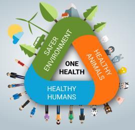 1. Prosseguir a implementação do conceito de Uma Só Saúde 11 Promover a estreita cooperação entre os setores da Saúde Humana, da Saúde Animal e do Ambiente a nível central, tendo em perspetiva