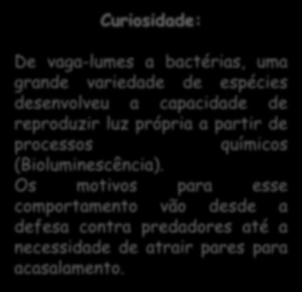 de processos químicos (Bioluminescência).