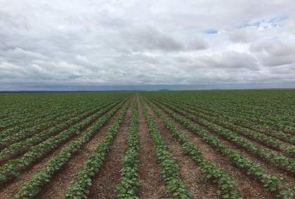 Tem por objetivo a produção agrícola sustentável através de recursos naturais e ao mesmo tempo garantir altos níveis de produção