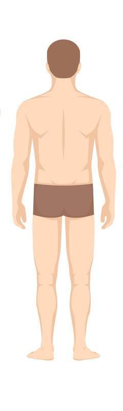 Faça uma imagem panorâmica da região do corpo (cabeça, tronco, braços e/ou pernas) que tenha uma ou mais lesões. A LESÃO PRECISA FICAR VISIVEL Imagem 28
