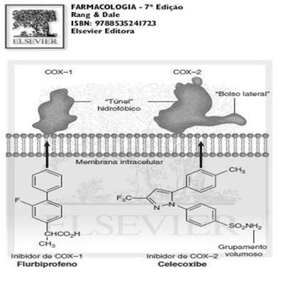 1 Proteção gastrica e intestinal Inibição da COX 1 Seletividade