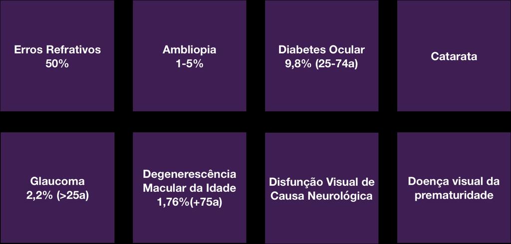 Em termos de distúrbios mais relevantes, a Estratégia Nacional para a Saúde da Visão estabelece os seguintes grupos: 1) Erros refrativos disfunção visual sem cegueira; 2) Ambliopia; 3) Diabetes