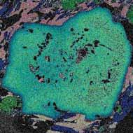 Fotomicrografia do porfiroblasto na paragênese principal contendo muscovita + biotita + estaurolita + cianita. D. Mapa composicional para Mn, maiores concentrações no núcleo do cristal (tons claros).