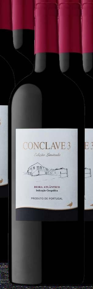 Quinta dos Abibes Conclave 3 (1500ml) 1813679632001004-750ml Aspecto: Límpido. Portugal Cor: Rubi intensa com tons acastanhados. Aroma: Intenso em especiarias.