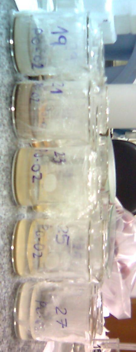 31 O ph da amostra deve ser igual a 4,93 ± 0,05. Solução de Extração nº 2-5,7 ml de ácido acético; - Água deionizada para completar 1l. O ph da amostra deve ser igual a 2,88 ± 0,05.