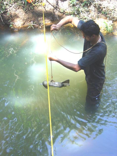 contaminação oferecido pela contribuição do rio Melchior, que à época ainda recebia os esgotos