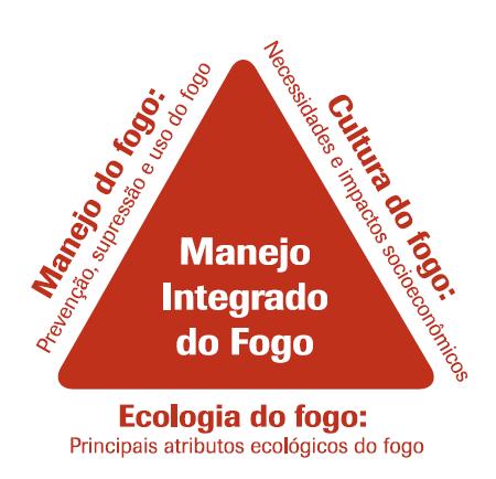 Metodologia De uma maneira geral, a metodologia utilizada para aplicação do MIF nas TIs, seguiu um procedimento coordenado, simples e prático, que pode servir de modelo para implementação em outras