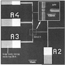 Exemplos de aplicações Arranjos de transistores SET 9 Estruturas protéicas